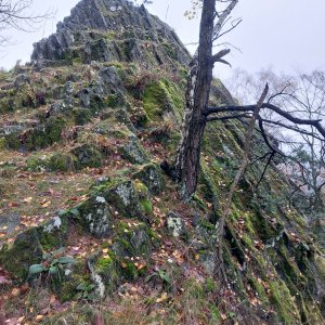 MYKAS na vrcholu Herdstein (21.11.2023 14:11)