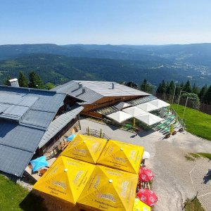 Mykas na vrcholu Schutzhauser Riegel (21.6.2025 9:35)