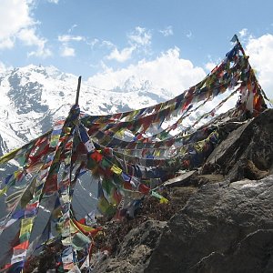 Dolfa na vrcholu Lower Kyangin Ri (1.5.2019)