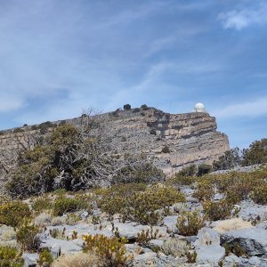 michalzhor na vrcholu Jebel Shams (5.2.2024 13:53)