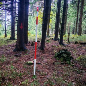 Šárka na vrcholu Hřebeňák (12.10.2025 11:19)