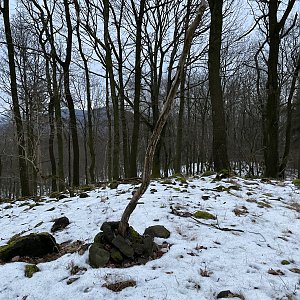 Tonda, Peťule a Fram na vrcholu Kotolský vrch (11.2.2023 17:01)