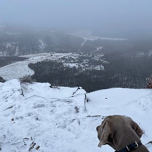 Tonda, Peťule a Fram na vrcholu Lipská hora (21.1.2023 14:21)