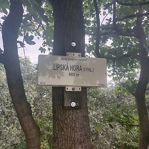 Petr Wendler na vrcholu Lipská hora (17.7.2023 10:34)