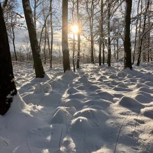 Johana Štefflová na vrcholu Bukový vrch (15.2.2025 14:24)