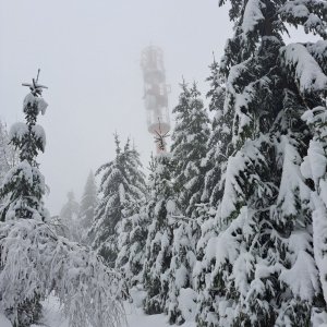 Horalka Anička na vrcholu Pustina (7.12.2024 11:32)