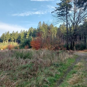 Mykas na vrcholu Kančí vrch (4.11.2025 15:27)