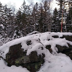 Badger na vrcholu Radkovský vrch (29.12.2020 14:15)