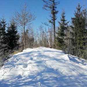 Vladimír Grančay na vrcholu Hamštejnský vrch (12.2.2022 13:27)