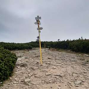 ZdenkaV na vrcholu Góra Pięciu Kopców (30.9.2023)