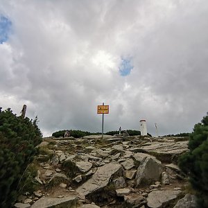 Šárka na vrcholu Góra Pięciu Kopców (3.9.2021 16:15)