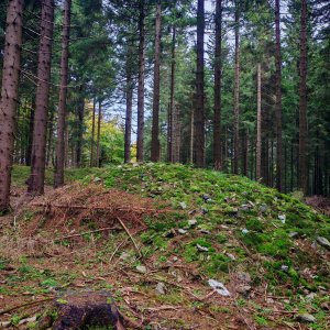 Šárka na vrcholu Luční hora (12.10.2025 10:55)