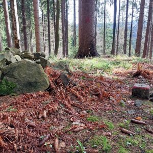 Mykas na vrcholu Raťkov (19.4.2025 10:19)