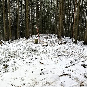 Vladimír Grančay na vrcholu Žibřidovský vrch (31.12.2018 15:28)