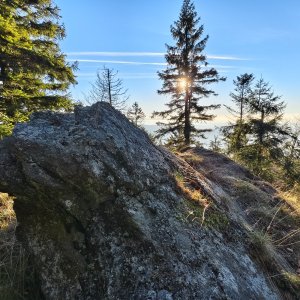 Jiří Králík na vrcholu Kaitersberg SZ  (7.11.2025 15:25)