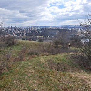 Anna na vrcholu Hradiště Děvín (17.3.2024)