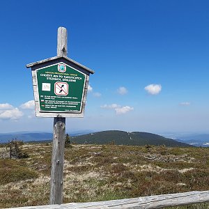 ZdenkaV na vrcholu Keprník (5.6.2022)