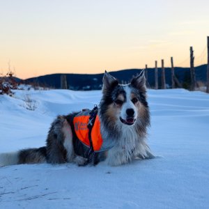 Jiří Králík na vrcholu Olšiček (30.11.2025 15:45)