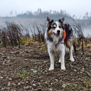 Jiří Králík na vrcholu Lavičná S1 (6.12.2025 14:12)