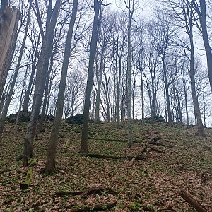 Petr Wendler na vrcholu Lipka (2.3.2024 12:40)