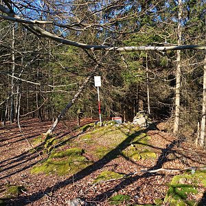 VěrkaN na vrcholu Stírka (9.3.2024 16:41)