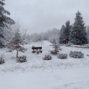Ľuboš na vrcholu Lokov (15.2.2025 12:55)