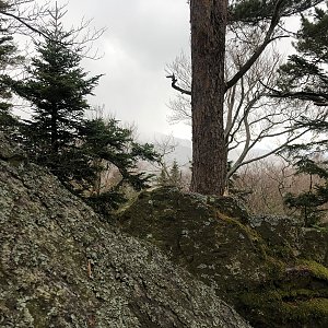 Anežka Boříková na vrcholu Mlýnské vrchy (23.3.2024 15:33)