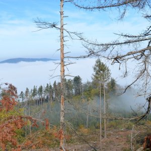 Lukáš Racocha na vrcholu Věnec (9.10.2018 11:29)
