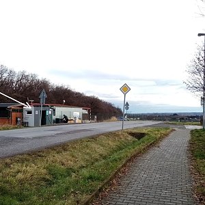 Jiřina na vrcholu Na Formance (31.12.2022 10:23)