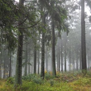 Martin Snopek na vrcholu Travný (26.10.2025 10:55)