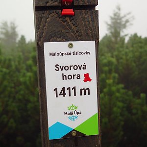 Martin Matějka na vrcholu Svorová hora (27.9.2015 12:18)