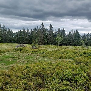 PA!WELL na vrcholu Mittagsplatzl (29.5.2024 14:09)