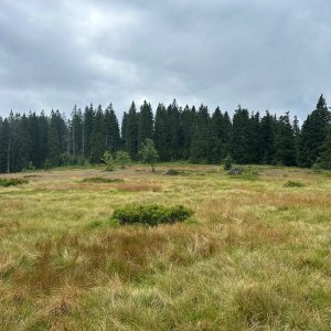 akam na vrcholu Mittagsplatzl (30.7.2025 13:12)