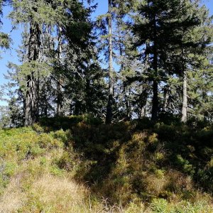 Vladimír Grančay na vrcholu Mittagsplatzl (19.9.2025 11:59)