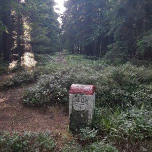 ZdenkaV na vrcholu Klonowiec (14.8.2025 8:17)