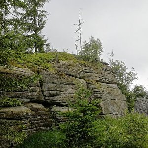 VěrkaN na vrcholu Tischberg (5.7.2022 16:26)
