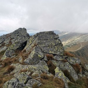 Šárka na vrcholu Krúpova hoľa (15.9.2023 10:51)