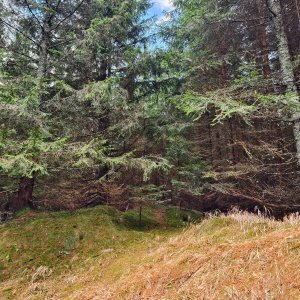 Jiří Králík na vrcholu Jelení vrch (7.12.2025 14:16)