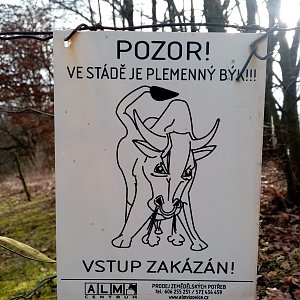 Hostýnsko-vsetínská hornatina