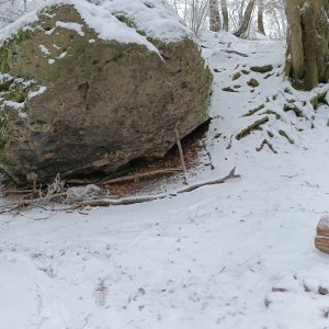 Jaroslav Macura na vrcholu Skalný (15.2.2025 10:01)