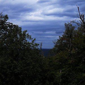 Holi na vrcholu Vlastec (5.7.2024 13:03)