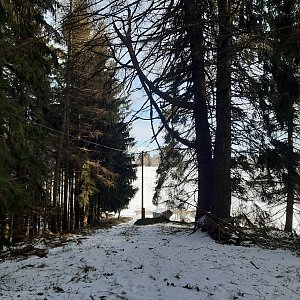 ZdenkaV na vrcholu Pálenice (16.1.2022 12:36)