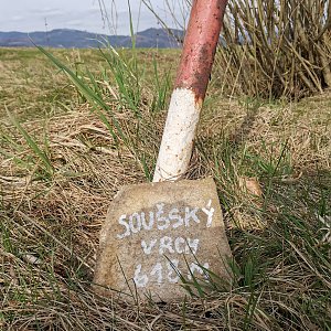 Šárka na vrcholu Sušský vrch (15.3.2024 13:57)