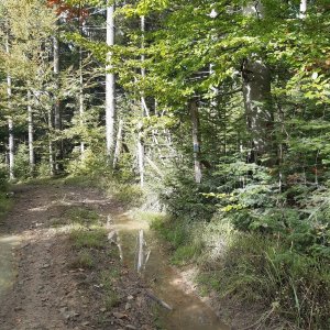 ZdenkaV na vrcholu Bařiny - V2 (28.9.2025 11:53)