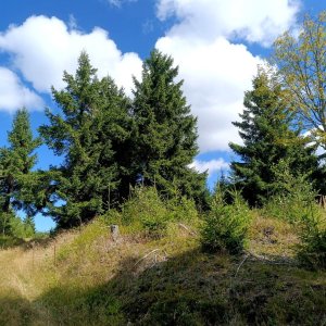 Torr na vrcholu Pestrý (31.8.2025 11:30)