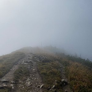 Martaska na vrcholu Steny, južný vrchol (2.10.2021 11:25)