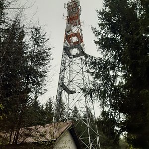 ZdenkaV na vrcholu Hřebečov (20.4.2024 16:31)