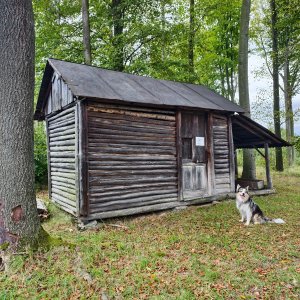 Jiří Králík na vrcholu Tichavská hůrka V (5.10.2025 10:52)