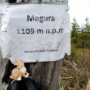Jiřina na vrcholu Magura (7.5.2022)