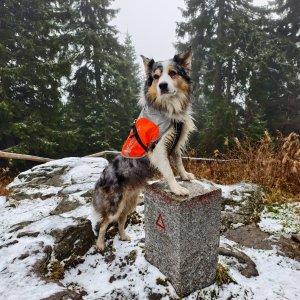 Jiří Králík na vrcholu Boubín (9.11.2025 12:31)